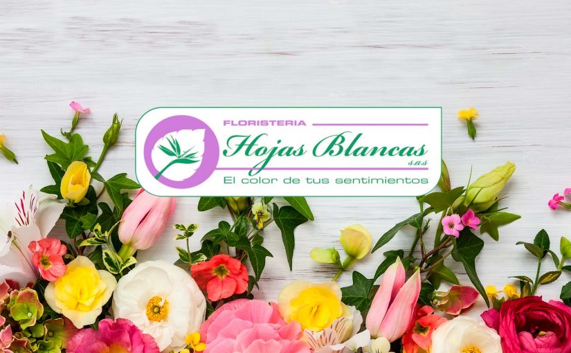 Hojas Blancas