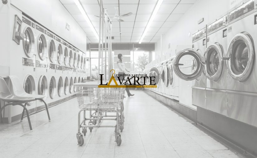 Lavarte Premium
